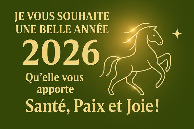 Thân Khi à Paris 13 Thân Khi soin énergétique Paris 13